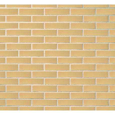 Brique Perforée Terre Ivoire