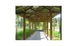 Poteau en Pin autoclavé