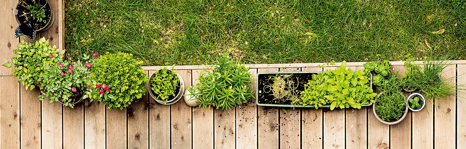 Environnement-Terrasse-Lame de Terrasse Composite et Accessoires